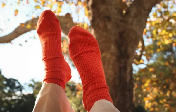 Wakacje pod namiotem